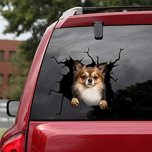 Ocean Gift Chihuahua Auto Aufkleber, Hund Auto Aufkleber 2 Stück - Realistische Chihuahua Aufkleber für Autofenster, Wände, Serie 45, Größe 30,5 x 30,5 cm von Ocean Gift