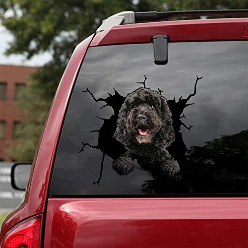 Ocean Gift Cockapoo Autoaufkleber, Hund Auto Aufkleber 2 Stück – Realistische Cockapoo Aufkleber für Autofenster, Wände, Serie 45, Größe 20,3 x 20,3 cm von Ocean Gift