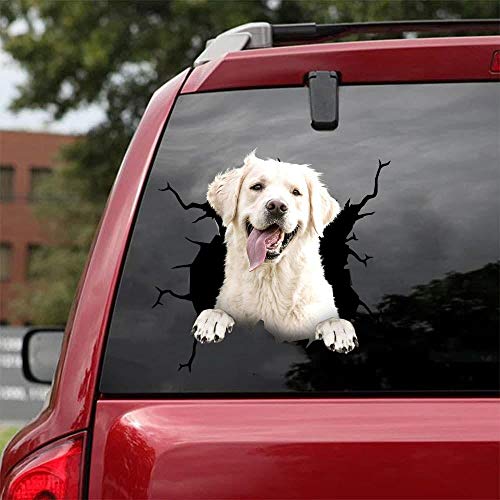 Ocean Gift Golden Retriever Autoaufkleber, Hund Auto Aufkleber 2 Stück – Realistische Golden Retriever Aufkleber für Autofenster, Wände, Serie 75, Größe 30,5 x 30,5 cm von Ocean Gift
