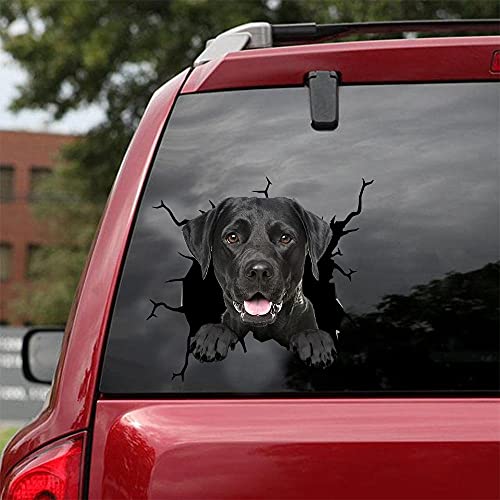 Ocean Gift Labrador Auto Abziehbilder, Hund Auto Aufkleber 2 Stück - Realistische Labrador Aufkleber für Autofenster, Wände Serie 109 Größe 30,5 cm x 30,5 cm von Ocean Gift