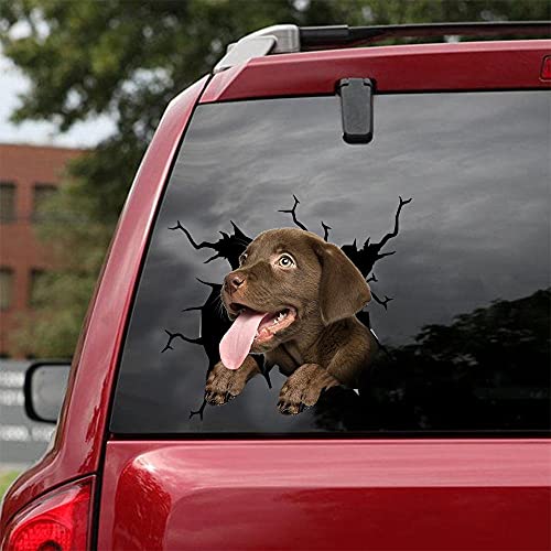 Ocean Gift Labrador Auto Aufkleber, Hund Auto Aufkleber 2 Stück - Realistische Labrador Aufkleber für Autofenster, Wände Serie 109 Größe 25,4 cm x 25,4 cm von Ocean Gift