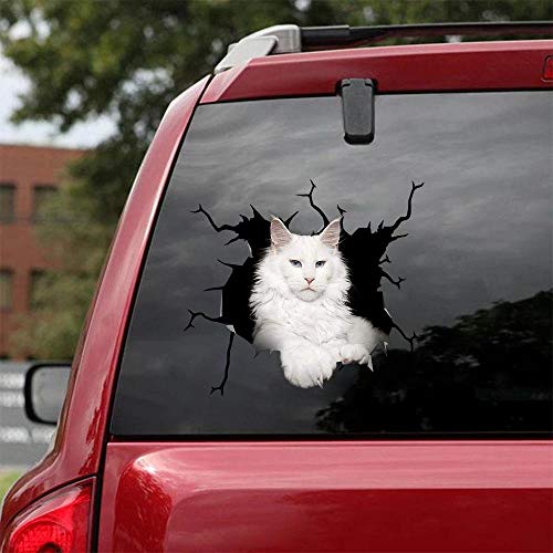 Ocean Gift Maine Coon Katze Auto Abziehbilder, Wandaufkleber Aufkleber 2 Stück - Realistische Auto Aufkleber Design Serie 8 Größe 30,5 cm x 30,5 cm von Ocean Gift