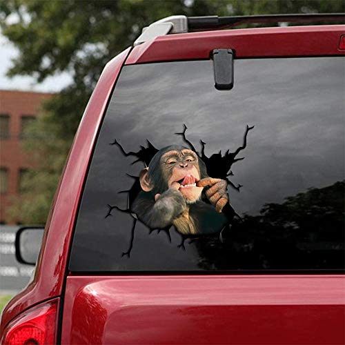 Ocean Gift Monkey Car Decals, Wall Decals Stickers 2 Stück - Realistische Autoaufkleber Design Serie 12 Größe 30,5 cm x 30,5 cm Ocean Gift Monkey Car Decals, Wall Decals Stickers 2 Stück - Realistische Autoaufkleber Design Serie 12 Größe 30,5 cm x 30,5 cm von Ocean Gift