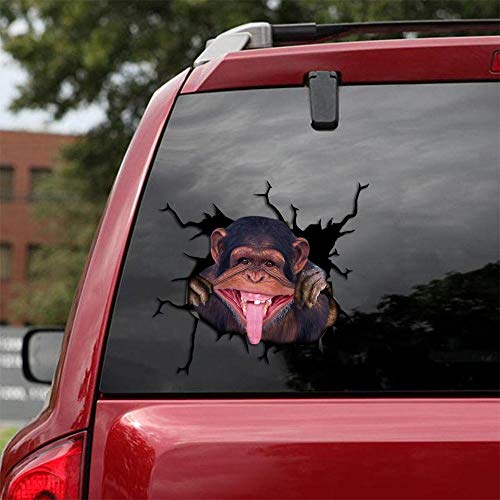 Ocean Gift Monkey Car Decals, Wall Decals Stickers 2 Stück - Realistische Autoaufkleber Design Serie 12 Größe 30,5 cm x 30,5 cm von Ocean Gift