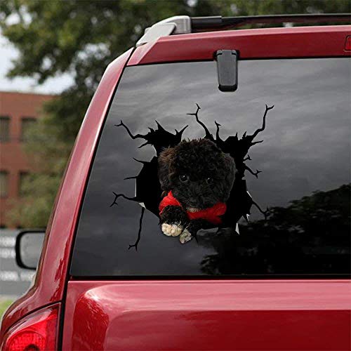 Ocean Gift Poodie - Pudel Auto Decals, Hund Auto Aufkleber 2 Stück - Realistischer Puder - Pudel Aufkleber für Autofenster, Wände Serie 53 Größe 25,4 cm x 25,4 cm von Ocean Gift