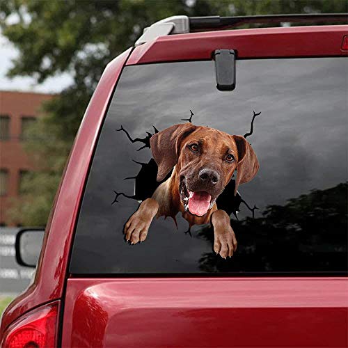 Ocean Gift Rhodesian Ridgeback Auto Abziehbilder, Hund Auto Aufkleber 2 Stück - Realistische Rhodesian Ridgeback Aufkleber für Autofenster, Wände Serie 81 Größe 30,5 cm x 30,5 cm von Ocean Gift