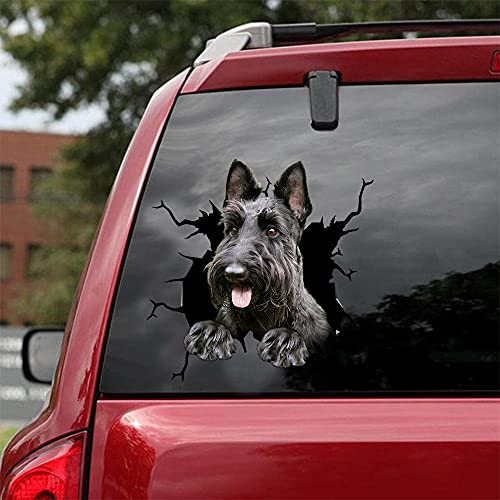 Ocean Gift Scottish Terrier Auto-Aufkleber, Hunde-Autoaufkleber, 2 Stück – Realistische Scottish Terrier Aufkleber für Autofenster, Wände Serie 113, Größe 30,5 x 30,5 cm von Ocean Gift