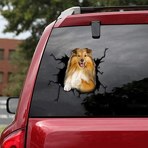 Ocean Gift Sheltie Auto Decals, Hund Auto Aufkleber 2 Stück - Realistische Shetland Sheepdog Aufkleber für Autofenster, Wände Serie 79 Größe 20,3 cm x 20,3 cm von Ocean Gift