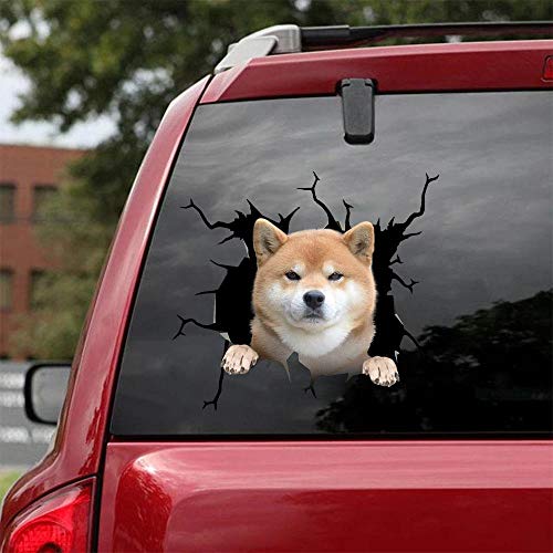 Ocean Gift Shiba Inu Auto Decals, Hund Auto Aufkleber 2 Stück - Realistische Shiba Inu Aufkleber für Autofenster, Wände Serie 82 Größe 30,5 cm x 30,5 cm von Ocean Gift