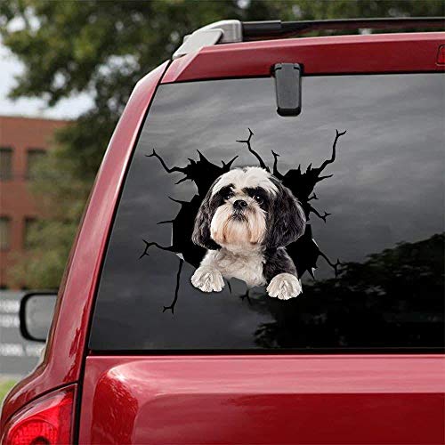 Ocean Gift Shih Tzu Auto-Aufkleber, Hunde-Autoaufkleber, 2 Stück - Realistische Shih Tzu Aufkleber für Autofenster, Wände Serie 56 Größe 30,5 cm x 30,5 cm von Ocean Gift