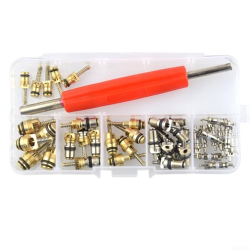 Komplettes Reparaturset für Automotive A/C Ventilkerne mit 41 Teilen inklusive Entfernerwerkzeugen, entworfen für R12R134a Systeme und kompatibel mit For Jetta von Oceanlend