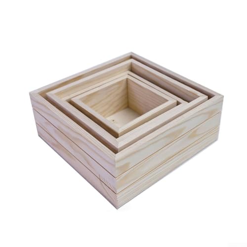 Sukkulenten-Box aus Holz mit vier Tabletts für die Organisation kleiner Pflanzen und Heimdekorationen von Oceanlend
