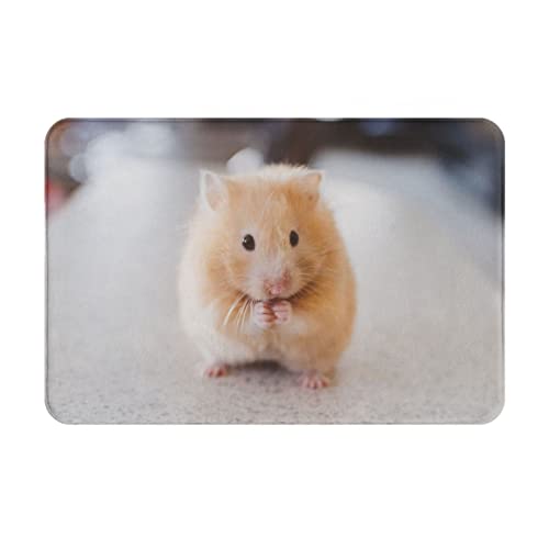 Rutschfeste Fußmatte aus Flanell, Hamster, 40,6 x 61 cm, für Innen- und Außenbereich, Kastanienbraun von Ocelio