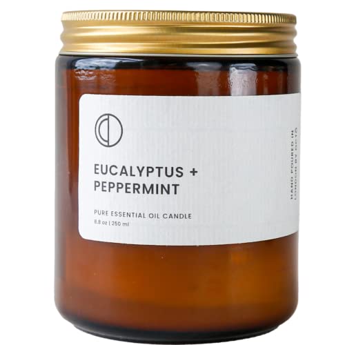 Eukalyptus + Pfefferminze | Octō duftkerze mit sojawachs und naturreinen ätherischen ölen 250ml von Octō
