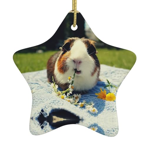 Sternförmige Keramik-Hängeornamente für Weihnachten, ideal zum Aufhängen, Weihnachtsbaumschmuck, Geschenk, Meerschweinchen von OdDdot