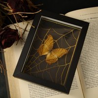 Echter Schmetterling Gerahmt - Natur Witch Gothic Deko Fotografie Kuriosität von OddsAndEndsCuriosity