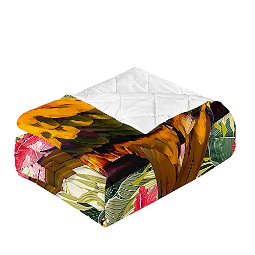 Odot 3D Papagei Druck Tagesdecke Steppdecke Bettüberwurf Bettdecke Stepp Decke Sofaüberwurf Gesteppt Waschbare Klimaanlage Wohndecke Doppelbett Reisedecke (150x200cm,Beige) von Odot