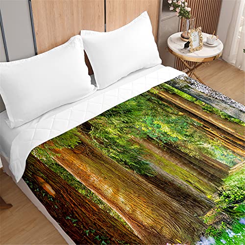 Odot 3D Wald Druck Tagesdecke Bettüberwurf Steppdecke für Doppelbett Einzelbett Kinder, Bettdecke Stepp Decke Tagesdecken mit Präge Wohndecke Gesteppt (Blumen Wald,230x260cm) von Odot