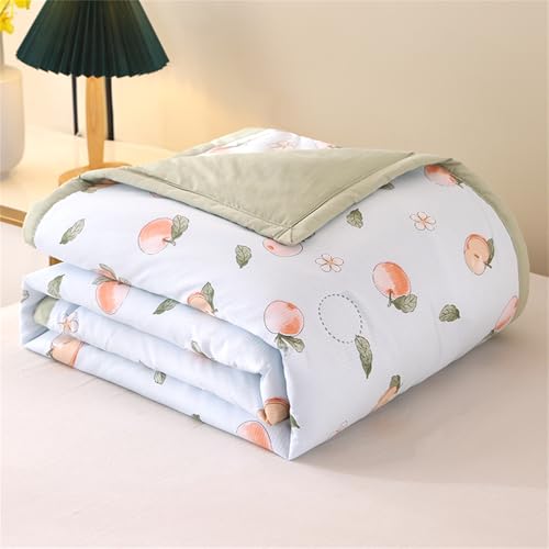Odot Bettdecke Ohne Bezug Nutzbar Sommer, Waschbare Bettdecke Ohne Bezug Dünne Sommerbettdecke Leicht Doppelseitige Sommerdecke für Bett Sofa (Apfel,150 * 200cm) von Odot