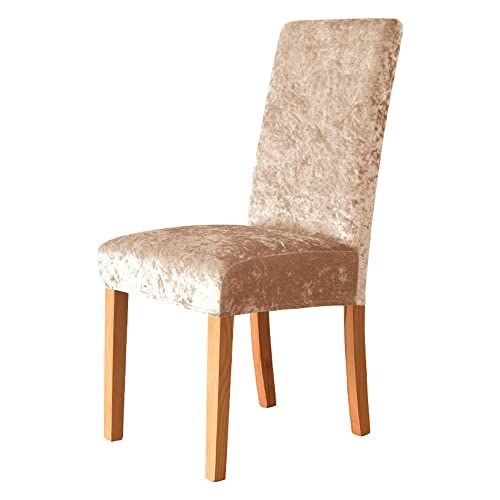 Odot Diamond Samt Stuhlhussen Esstisch Mit 2/4/6 Stühlen Set, Stretch Stuhlhussen Hussen Abnehmbarer Waschbarer Stuhlbezug Sesselbezug für Hotel,Bankett,Restaurant,Haus (2er Set,Champagner) von Odot
