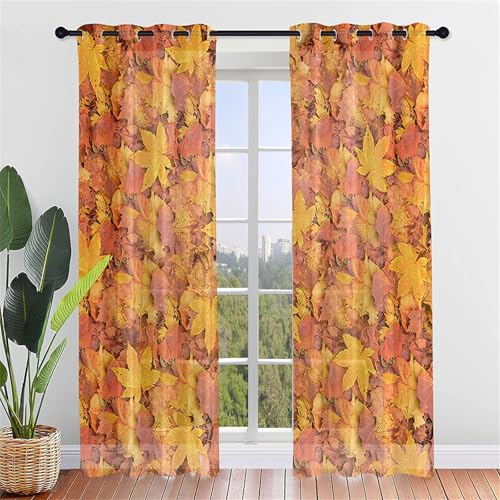 Odot Halbtransparente Vorhänge,3D Herbst Ahornblatt Muster Voile Vorhang mit Ösen 2er Set Gardinen Vorhang Ösenvorhang Fensterschal Moderne Vorhänge Fenster für Küche (140x244cm,Gefallene Blätter) Odot Halbtransparente Vorhänge,3D Herbst Ahornblatt Muster Voile Vorhang mit Ösen 2er Set Gardinen Vorhang Ösenvorhang Fensterschal Moderne Vorhänge Fenster für Küche (140x244cm,Gefallene Blätter) von Odot