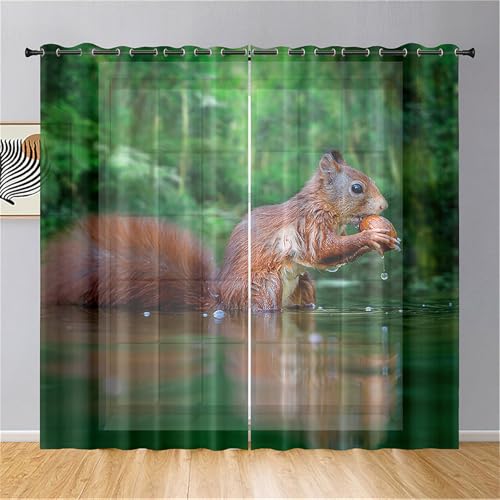 Odot Halbtransparente Vorhänge mit Ösen, 3D Eichhörnchen Muster Voile Vorhang 2er Set Gardinen Vorhang Ösenvorhang Fensterschal Moderne Vorhänge Fenster für Küche (Braun Eichhörnchen,107x160cm) Odot Halbtransparente Vorhänge mit Ösen, 3D Eichhörnchen Muster Voile Vorhang 2er Set Gardinen Vorhang Ösenvorhang Fensterschal Moderne Vorhänge Fenster für Küche (Braun Eichhörnchen,107x160cm) von Odot