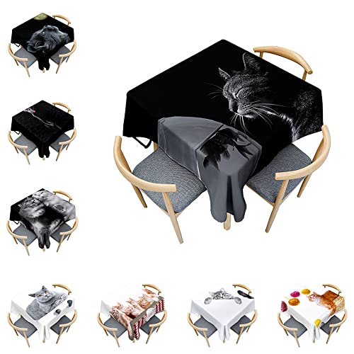 Odot Katze Tischdecke Quadratisch Wasserdicht Polyester, Pflegeleicht Fleckschutz Abwaschbar 3D-Katzendruck Rechteckig Tischdecke für Home Küche Couchtisch Dekoration (120x120cm,Goldfisch und Katze) von Odot