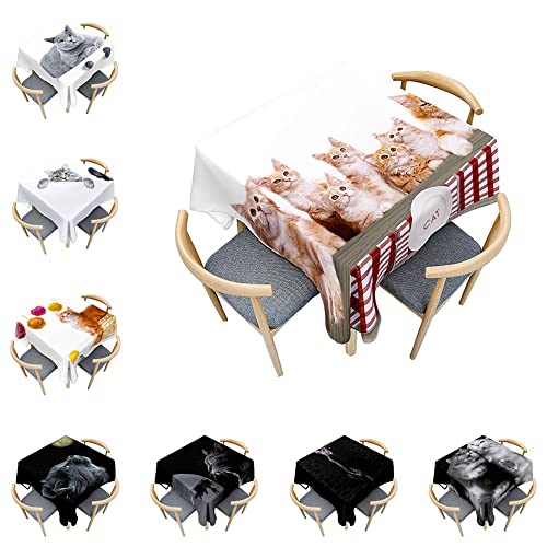 Odot Katze Tischdecke Quadratisch Wasserdicht Polyester, Pflegeleicht Fleckschutz Abwaschbar 3D-Katzendruck Rechteckig Tischdecke für Home Küche Couchtisch Dekoration (60x60cm,Kätzchen) von Odot