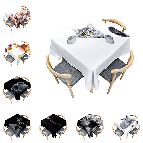 Odot Katze Tischdecke Quadratisch Wasserdicht Polyester, Pflegeleicht Fleckschutz Abwaschbar 3D-Katzendruck Rechteckig Tischdecke für Home Küche Couchtisch Dekoration (60x60cm,böse Katze) von Odot