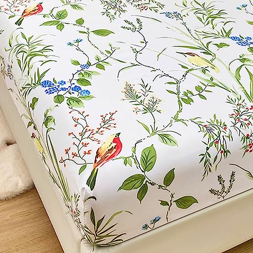 Odot Spannbettlaken für Boxspringbetten, Pflanze Muster Spannbetttücher Mikrofaser bis 25cm, Superweiches Spannbetttuch Bettlaken für Kinder Einzelbett Doppelbett (120x200x25cm,roter Vogel) von Odot