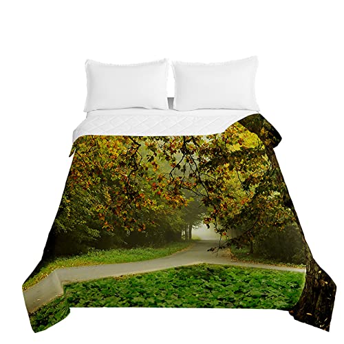 Odot Steppdecke Tagesdecke Wald Landschaft Druck Gesteppte Bettüberwurf für Doppelbett Einzelbett Kinder Bettdecke Stepp Decke Tagesdecken Wohndecke Alle Jahreszeiten (220x240cm,Blatt) von Odot