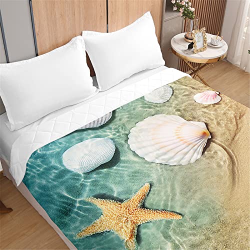 Odot Tagesdecke Bettüberwurf Steppdecke für Doppelbett Einzelbett Kinder, 3D Ozean Druck Bettdecke Stepp Decke Tagesdecken mit Präge Wohndecke Gesteppt Klimaanlage (180x220cm,Meeres Muscheln) von Odot