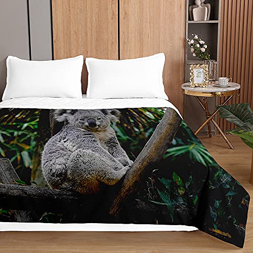 Odot Tagesdecke Steppdecke Bettüberwurf 3D Muster Bettdecke Stepp Decke Sofaüberwurf Gesteppt Waschbare Klimaanlage Wohndecke Doppelbett Reisedecke (Koala-Druck 3,230x260cm) von Odot