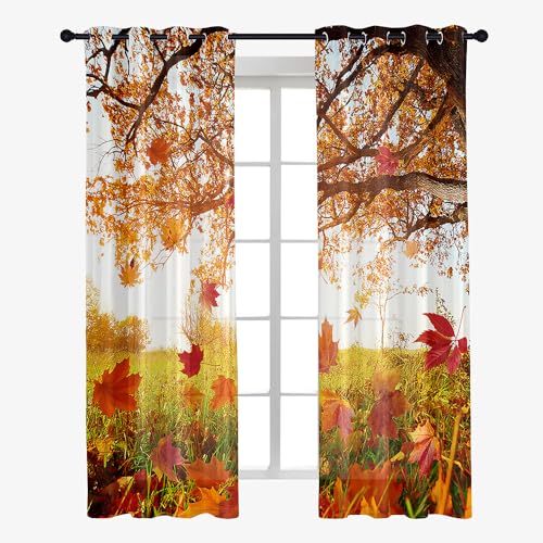 Odot Transparent Gardinen mit Ösen Schlaufen, Ahornblatt Drucken Vorhänge Voile Sheer Vorhang Dekoschal Fensterschal Ösenvorhang für Wohnzimmer Fenster 2er Set, Schienensystem (Herbst,132x182cm) von Odot