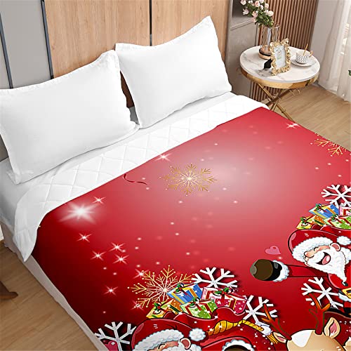 Odot Weihnachts Tagesdecke Bettüberwurf Steppdecke für Doppelbett Einzelbett Kinder, 3D Bettdecke Stepp Decke Tagesdecken mit Präge Wohndecke Gesteppt Klimaanlage (220x240cm,Rote Schneeflocke) von Odot