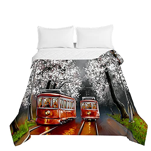Oduo 3D Tagesdecke Steppdecke Bettüberwurf Bettdecke Stepp Decke Sofaüberwurf Doppelbett Unterfüttert und Gesteppt Waschbare Klimaanlage Wohndecke Reisedecke (100x150cm,Eisenbahn Straßenbahn) von Oduo