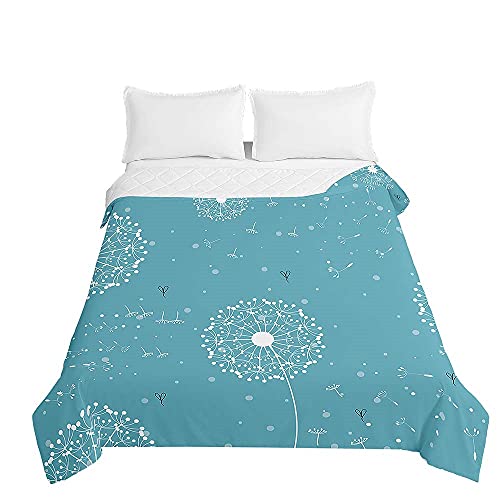 Oduo 3D Tagesdecke Steppdecke Bettüberwurf Bettdecke Stepp Decke Sofaüberwurf Doppelbett Unterfüttert und Gesteppt Waschbare Klimaanlage Wohndecke Reisedecke (Blau Grün,220x240cm) von Oduo