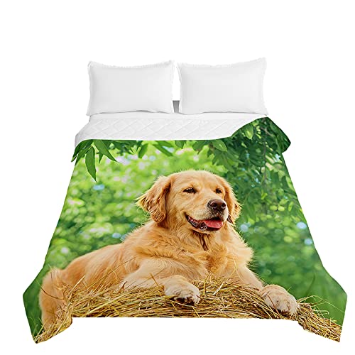 Oduo Tagesdecke Bettüberwurf Steppdecke für Doppelbett Einzelbett Kinder, 3D Hund Druck Bettdecke Stepp Decke Tagesdecken mit Präge Wohndecke Gesteppt Waschbare (Grüner Wald,180x220cm) von Oduo