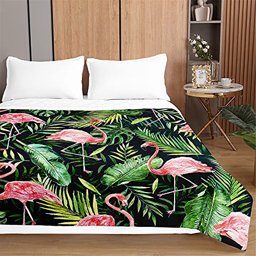 Oduo Tagesdecken Steppdecke Bettüberwurf für Doppelbett Einzelbett Kinder, Flamingo Druck Bettdecke Stepp Decke Tagesdecke mit Präge Gesteppt Waschbare Wohndecke (Dunkelgrün Monstera,200x230cm) von Oduo
