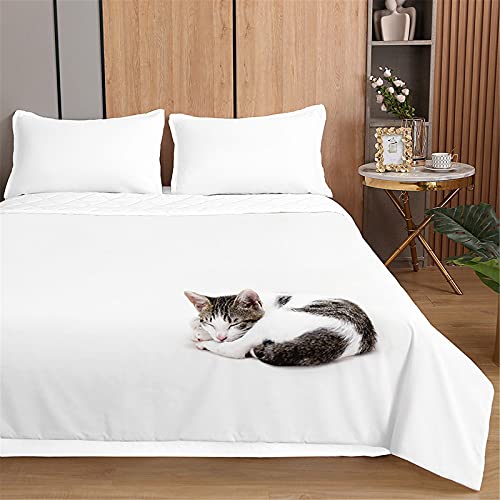 Oduo Tagesdecken Steppdecke Bettüberwurf für Doppelbett Einzelbett Kinder, Katzen Druck Bettdecke Stepp Decke Tagesdecke mit Präge Gesteppt Waschbare Wohndecke (Einfaches Weiß,220x240cm) von Oduo