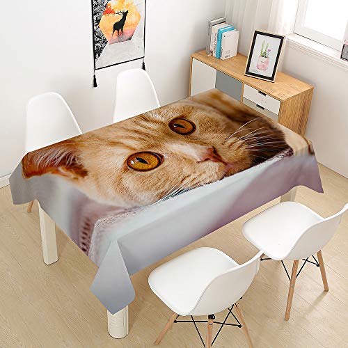 Oduo Tischdecke Wasserdicht Polyester Rechteckig, 3D-Katze Bedruckte Tischdecke Pflegeleicht Fleckschutz Ölfest Abwaschbar Outdoor Garten Deko Farbe & Größe Wählbar (Orange,100x140cm) von Oduo