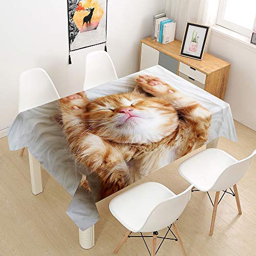 Oduo Tischdecke Wasserdicht Polyester Rechteckig, 3D-Katze Bedruckte Tischdecke Pflegeleicht Fleckschutz Ölfest Abwaschbar Outdoor Garten Deko Farbe & Größe Wählbar (Orangene Katze,90x90cm) von Oduo