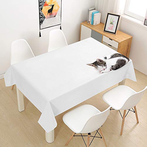 Oduo Tischdecke Wasserdicht Polyester Rechteckig, 3D-Katze Bedruckte Tischdecke Pflegeleicht Fleckschutz Ölfest Abwaschbar Outdoor Garten Deko Farbe & Größe Wählbar (Weiß,100x140cm) von Oduo