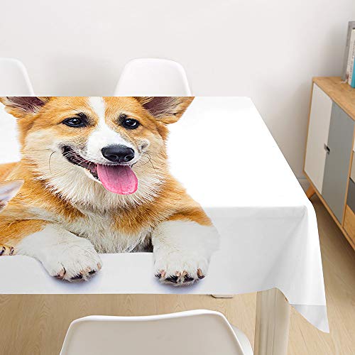 Oduo Tischdecke Wasserdicht Polyester Rechteckig, Tischdecke mit 3D Hundedruck Pflegeleicht Fleckschutz Ölfest Abwaschbar Outdoor Garten Deko (Corgi und die Katze,100x140cm) von Oduo