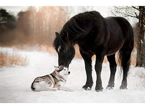 Fototapete Wand Hund und Pferd im Schnee | Verschiedene Maße 200 x 150 cm | Dekor Esszimmer, Wohnzimmer, Zimmer ... von Oedim