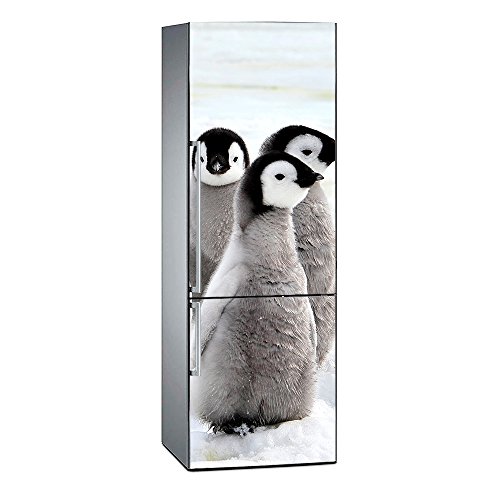 Kühlschrankfolie Pinguine | 185 x 70 cm | robuster und einfacher Aufkleber | Dekorativer Aufkleber in elegantem Design Kühlschrankfolie Pinguine | 185 x 70 cm | robuster und einfacher Aufkleber | Dekorativer Aufkleber in elegantem Design von Oedim