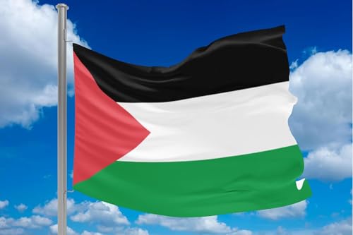 Oedim Flagge Palästina | 150 x 85 cm | Verstärkt und gesteppt | Flagge mit 2 Metallösen und wasserdicht von Oedim