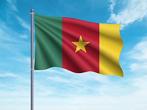 Oedim Flagge von Kamerun | 150 x 85 cm | verstärkt und vernäht | Flagge mit 2 Metallösen und wasserdicht von Oedim