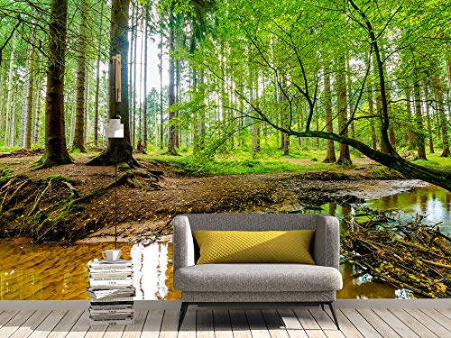 Oedim Fototapete, Vinyl, Wald mit Arroyo, Wanddekoration, Vinyl, 200 x 150 cm, Dekoration für Esszimmer, Wohnzimmer, Zimmer von Oedim