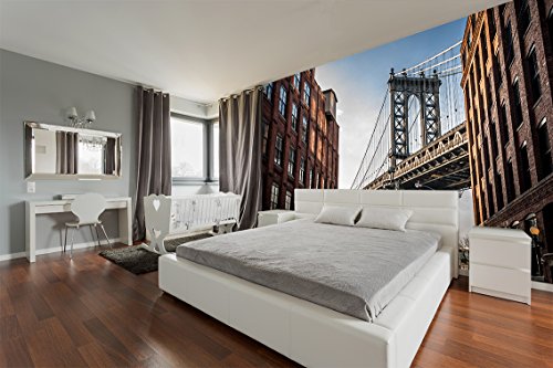 Oedim Wandaufkleber New York verschiedene Maße 150 x 100 cm | Dekoration für Esszimmer, Wohnzimmer | Landschaftsmotive | Städte, Natur, Kunst, mehrfarbig | elegantes Design von Oedim